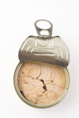 tongol tuna fish can