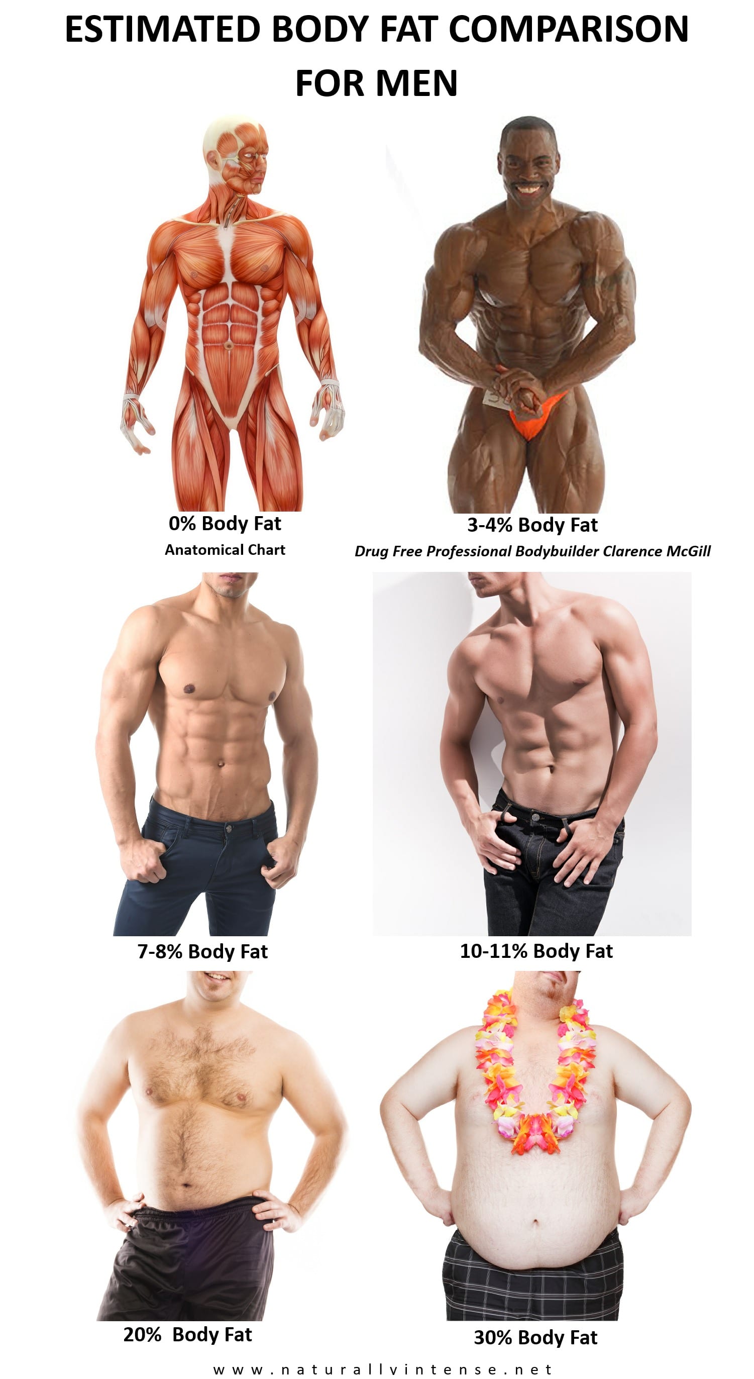 Accurately Estimate Body Fat Percentage