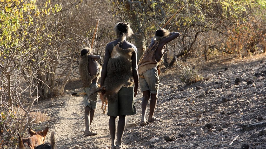 hunter gatherers lower rates of depression due to activity