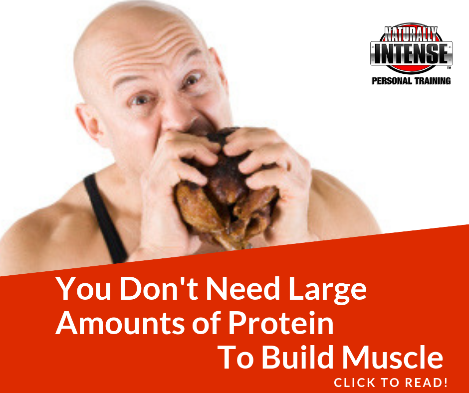 top fitness article 2018 on protein intake