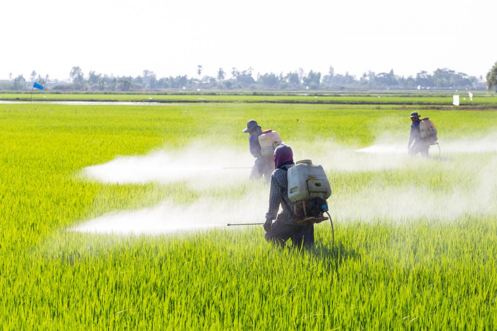 pesticides can make you fat