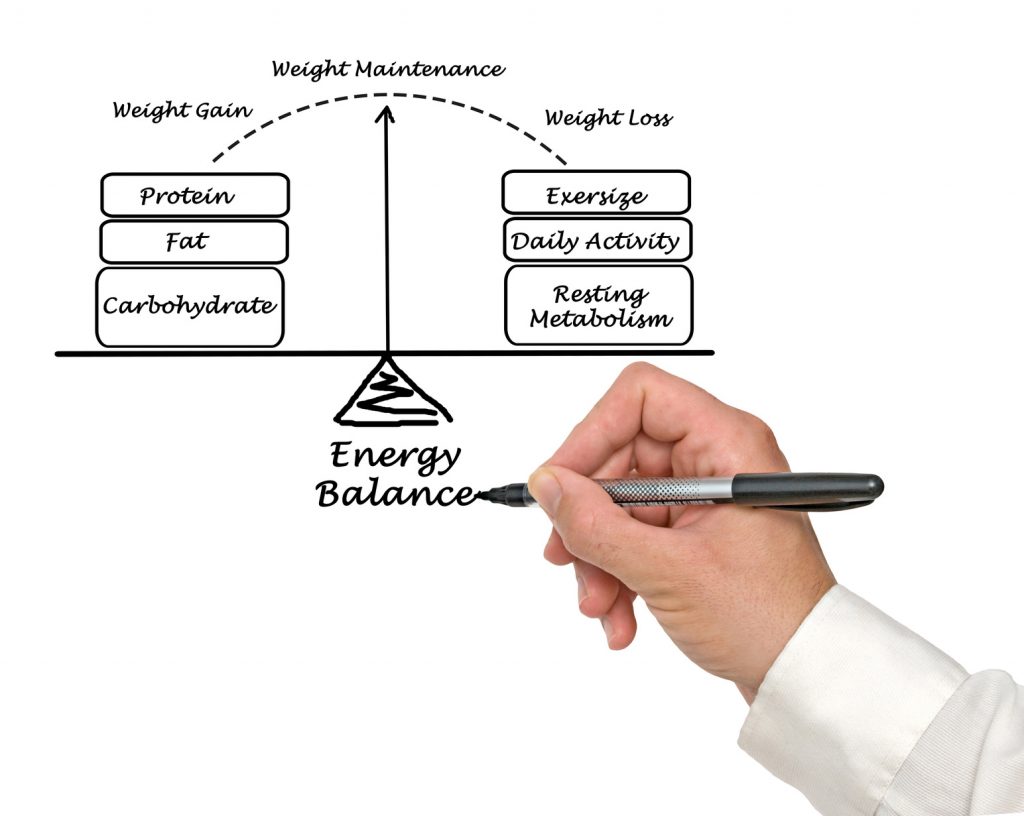 why weight loss stops understanding metabolism