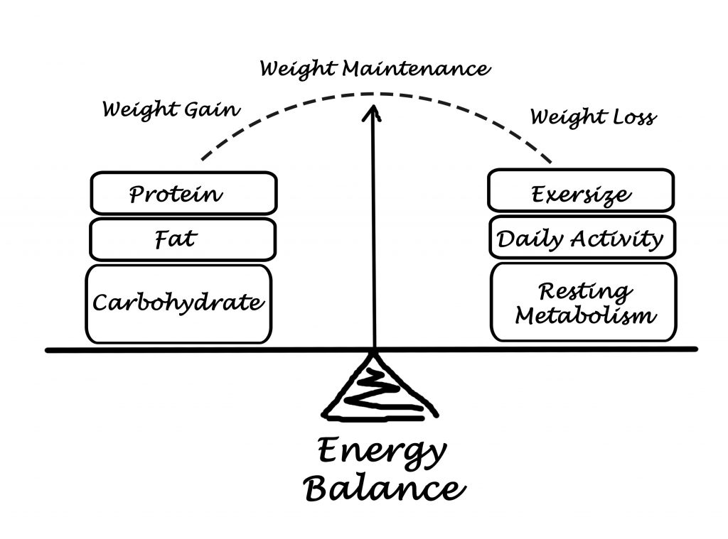 Energy balance and how it makes you regain weight