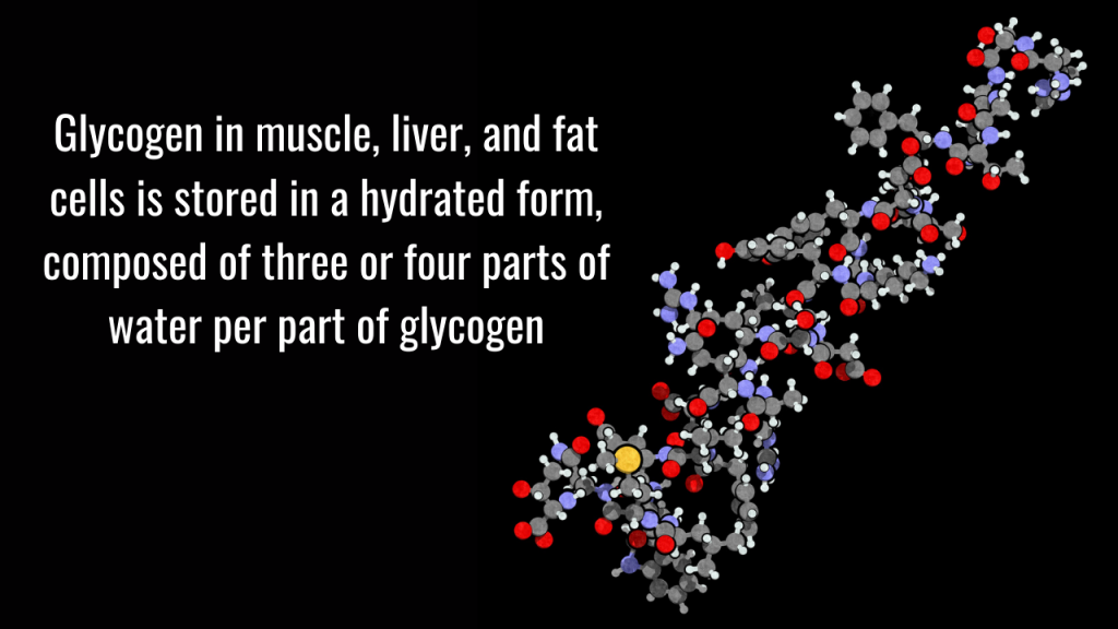 Glycogen depletion from keto vs low carb diets