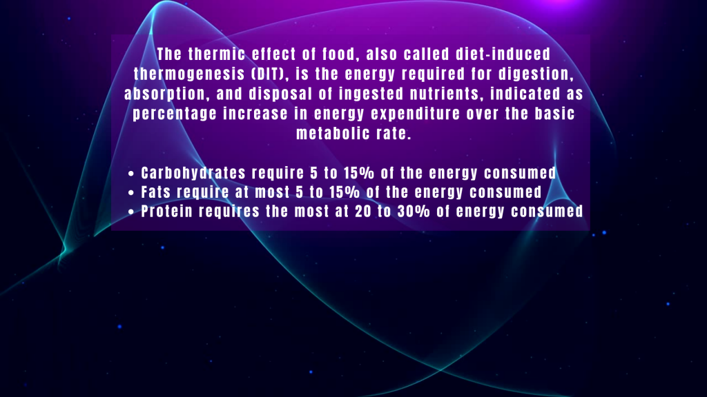 Diet induced thermogenesis is decreased with protein shakes