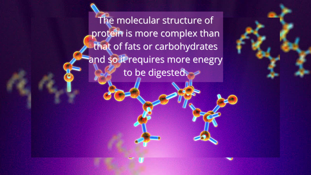 The molecular structure of proteins