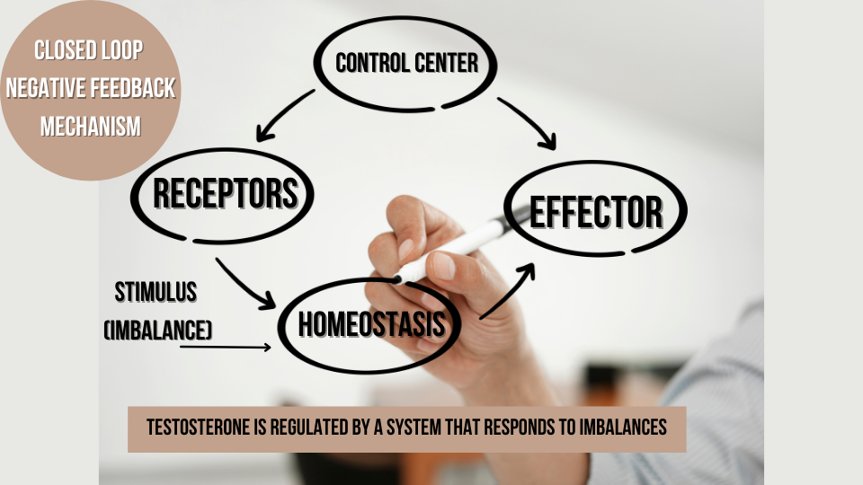 Closed loop negative feedback mechanism