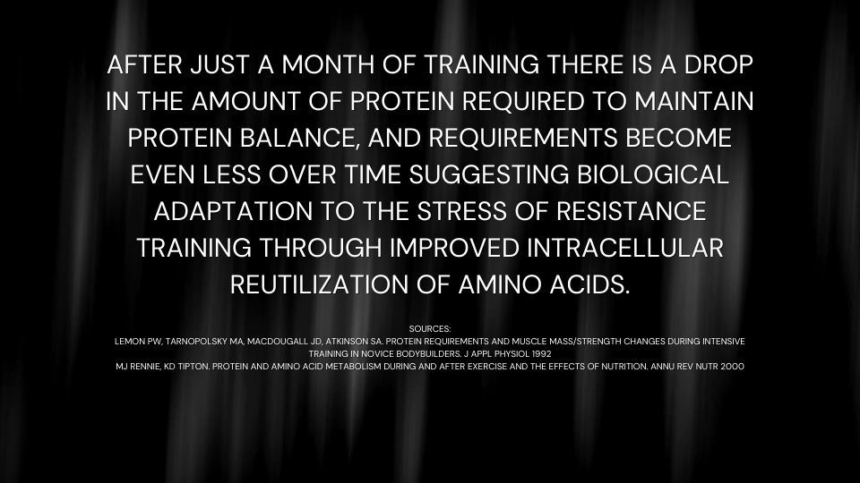 After just a month of training there is a drop in the amount of protein required to maintain protein balance