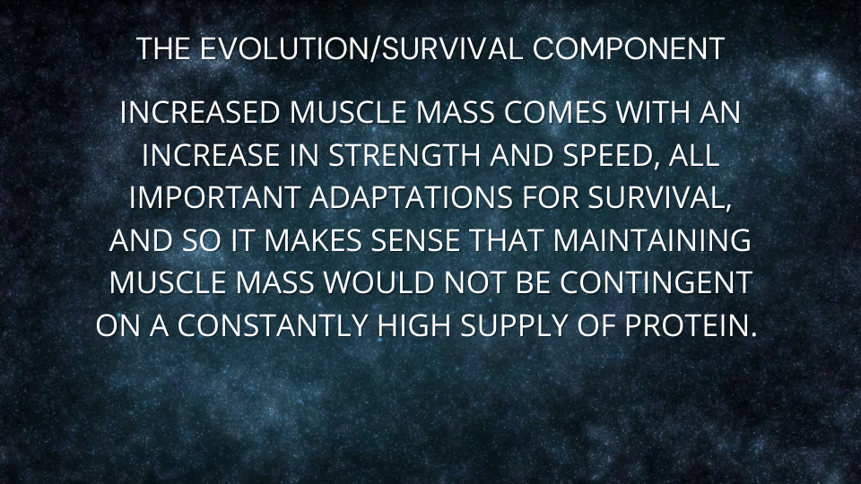 Increased muscle mass comes with an increase in strength and speed