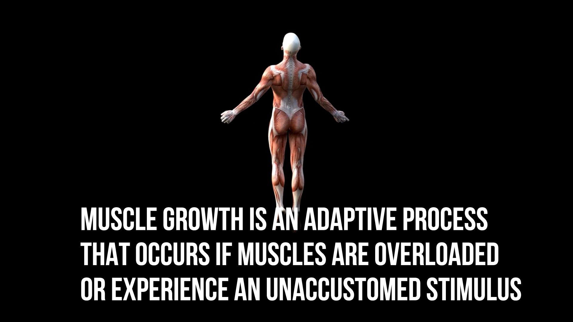 Muscle Growth is an adaptive process that happens when muscles are overloaded by unaccustomed stimuli