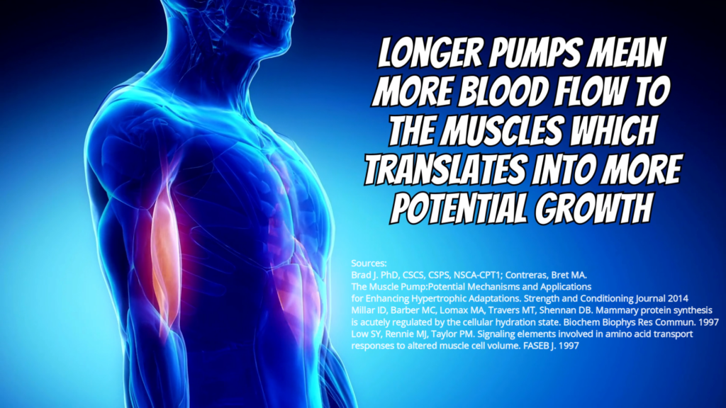 Increased blood flow to one muscle group means more muscle growth