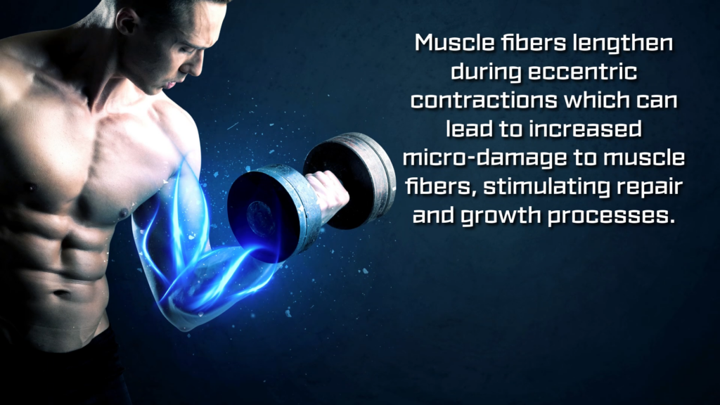 Extending eccentric contractions can increase the micro tears needed for growth in high intensity training