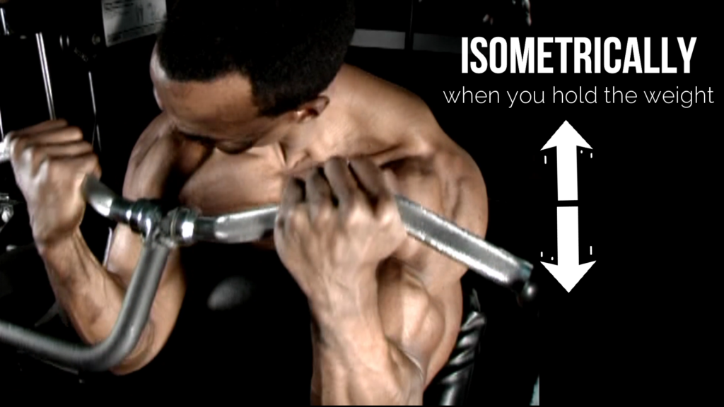 Isometric contractions are when the weight is held in one position