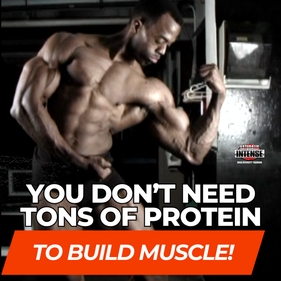 Protein Intakes for Natural Bodybuilders Debunking Protein Myths