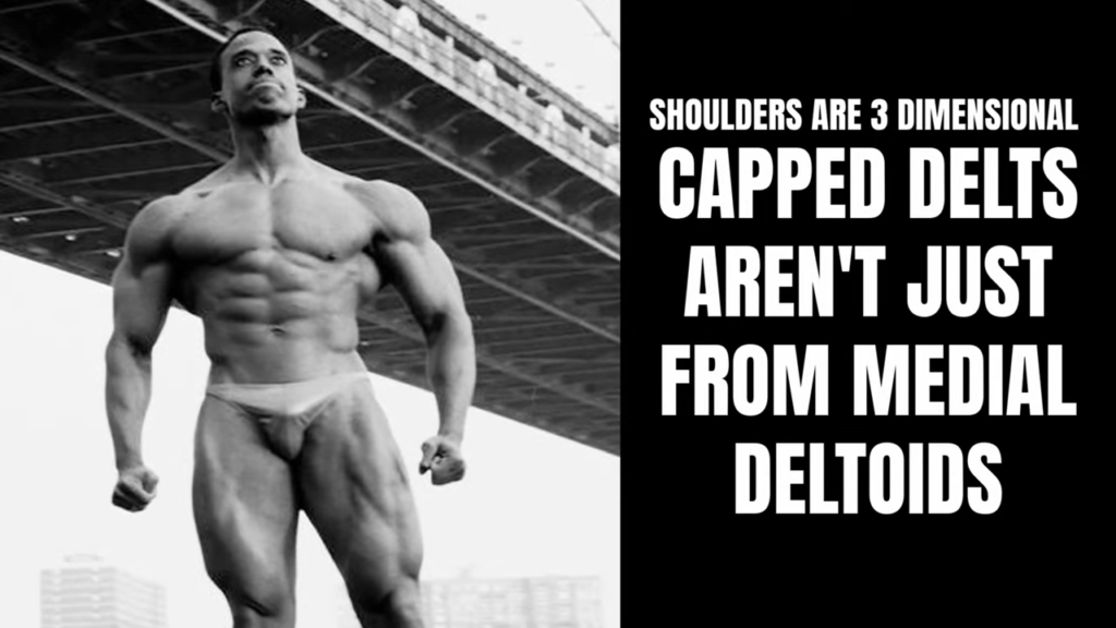 Shoulders are 3 dimensional making it important to train the frontal, medial, and rear delts