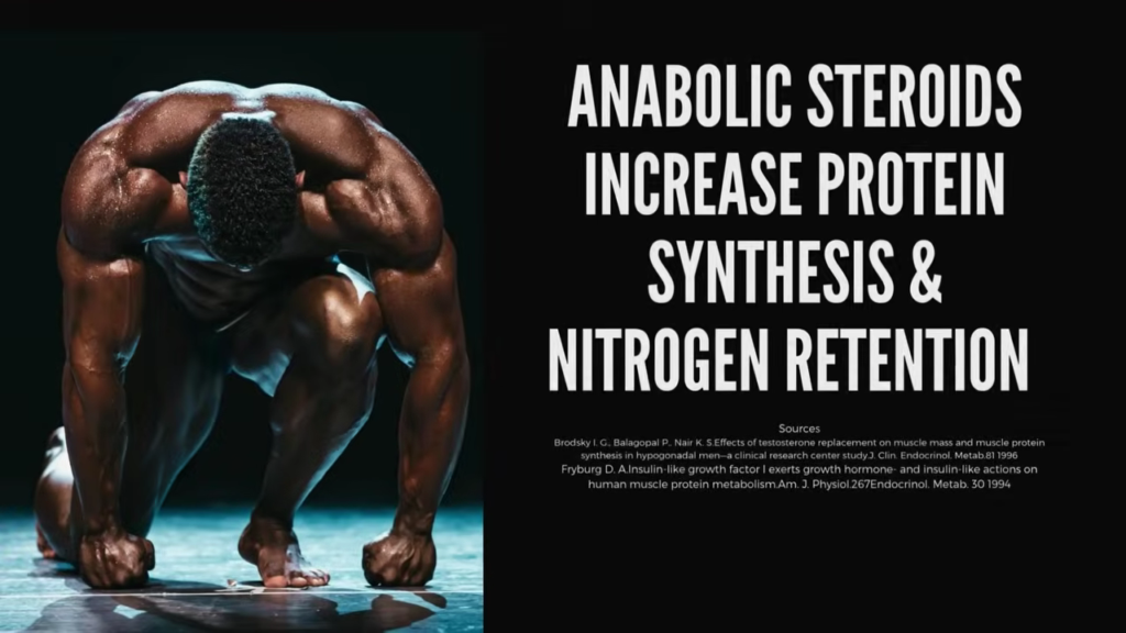 A bodybuilder poses with text explaining that anabolic steroids increase protein synthesis and nitrogen retention