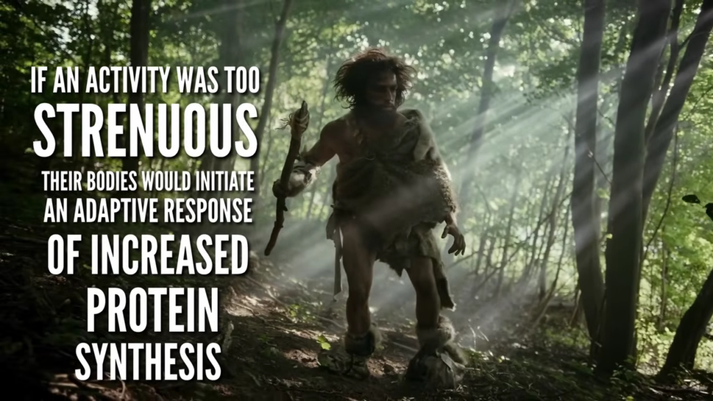 If an activity was too strenuous our ancestors bodies would adapt and increase protein synthesis to aid in survival