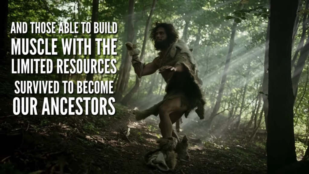 Our ancestors survived due to their ability to build muscle with limited resources like low calorie and protein intakes