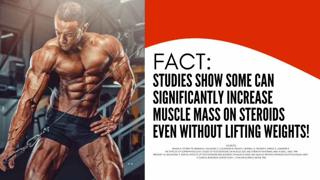 Graphic of studies show muscles can grow from steroids even without training